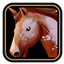 Favorite Mount logo