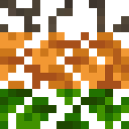 Caio's Climates logo