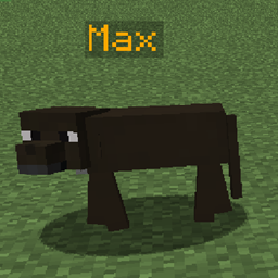 Caio's Labradors project image