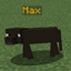 Caio's Labradors logo