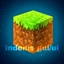 Indenis gui/ui pack logo