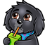 SHWYCraft logo
