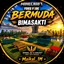 Free Fire Bermuda logo