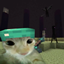 CatPvPPack logo