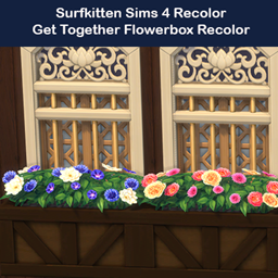Flower Box with Bright Flowers project image