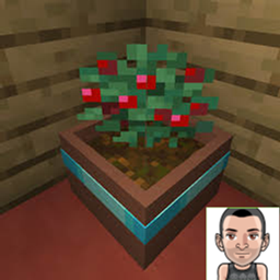 Wizardon's Botany Pots Tweaks