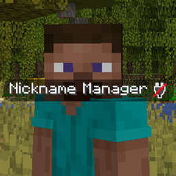 Nickname Manager project image