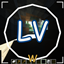 LargeVeins logo