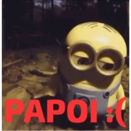 PapoiCraft logo