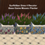 Planter Colorful BG SK logo