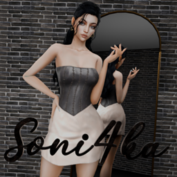Leather and Silk Dress logo
