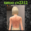 tattoo cv2312 logo