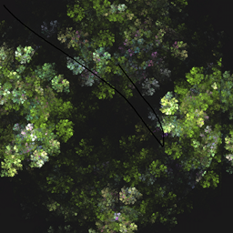 SaloCraft - Natures Embrace logo