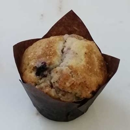 Muffin Land Forever logo