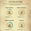 Minerva - All Spells & Rituals - Traduction FR logo