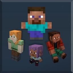 Custom Player Totems project image