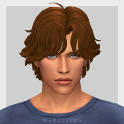 Arthur Hairstyle by Mercisimss logo