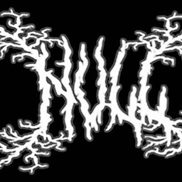NullWave orbital logo