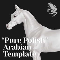 "Pure Polish" Arabian Template project image