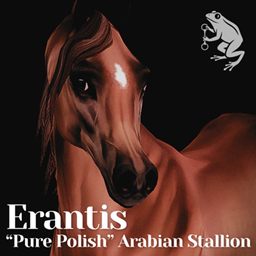 Erantis project image