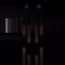 The man The Frog (Horror Experiencie) logo