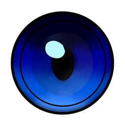 Zoom for Forge