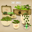 Tiny Jungle logo