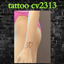 tattoo cv2313 logo