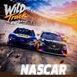 WILD Track NASCAR project image