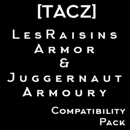 [TACZ] LesRaisins Armor & Juggernaut Armoury Compatibility Pack project image