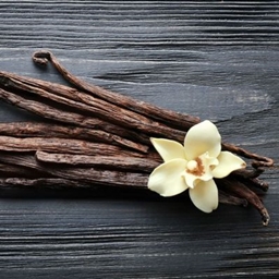 True (Best) Vanilla