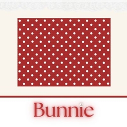 Polka Dot Rug logo