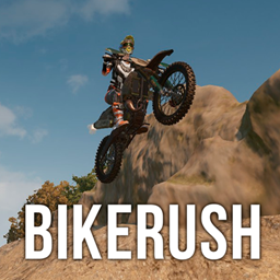 BIKERUSH: DIRT BIKE RACE logo