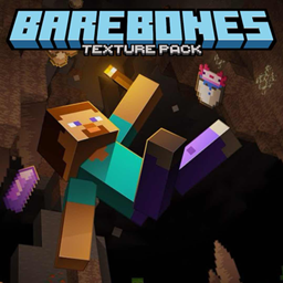 Bare Bones [The Java Pack] logo
