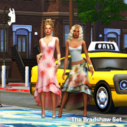 The Bradshaw Set project image