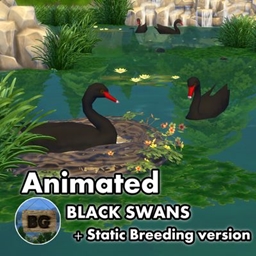 Animated - Black Swans ~ Bird ~ Animal ~ Pet ~ Swan logo