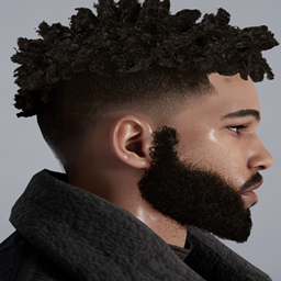 ShortAfro project image