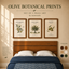 Olive Botanical Prints – Set of 3 Wall Art logo