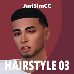 JariSimCC Hairstyle 03 Logan project image