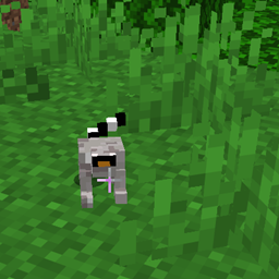 Lemur project image