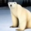 Polar Bear From 2027 logo