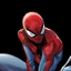 Spider-Craft logo