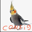 Kuki config logo