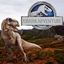 Jurassic Adventure logo