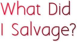 WhatDidISalvage