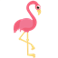Rontocraft logo