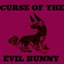 The Curse of the Evil Bunny