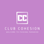 CohesionCraft logo