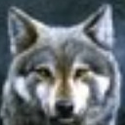 AlphaWolf logo