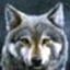 AlphaWolf logo